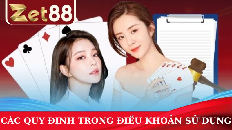 Thông tin chi tiết về các quy định trong điều khoản sử dụng