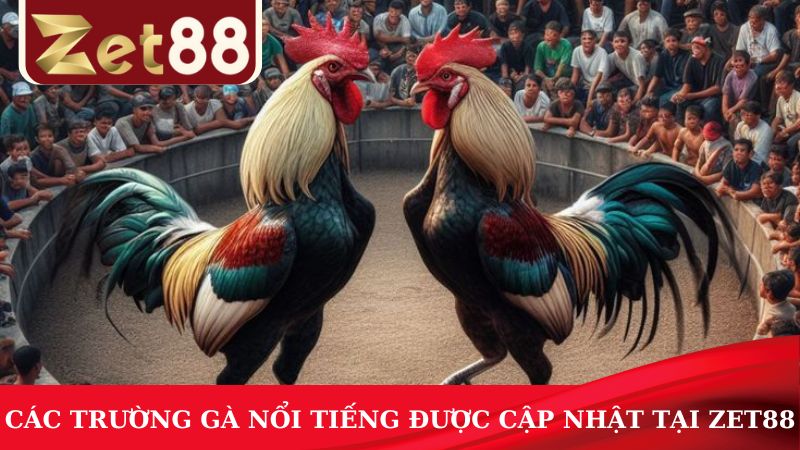 Tìm hiểu thông tin về các trường gà nổi tiếng được cập nhật tại ZET88